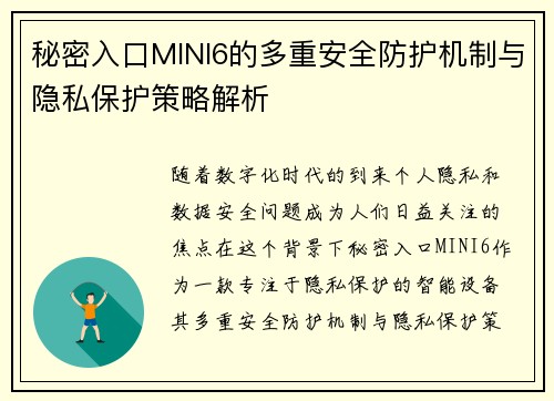 秘密入口MINI6的多重安全防护机制与隐私保护策略解析